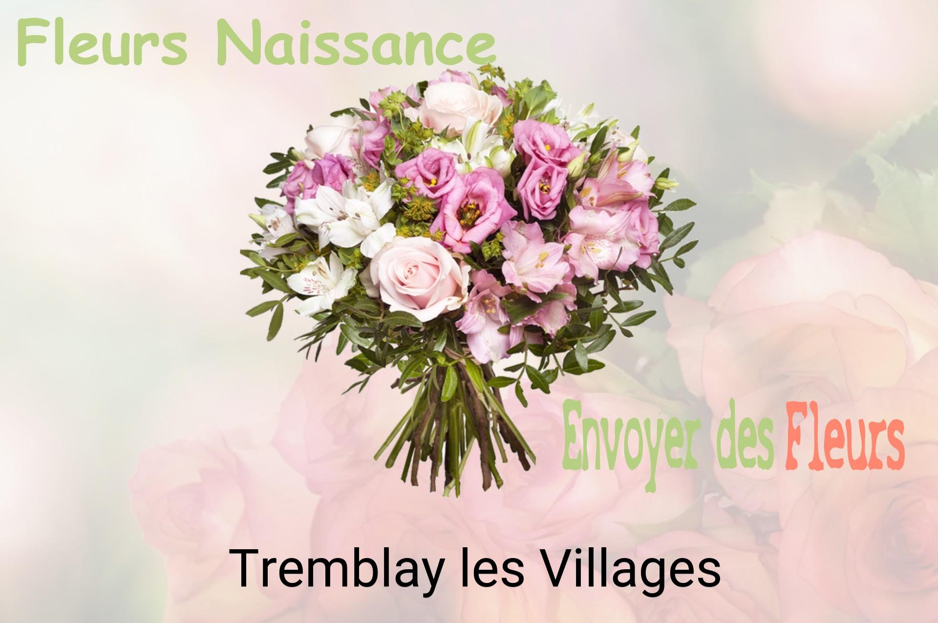 Bouquet de fleurs de naissance livré à Tremblay-les-Villages