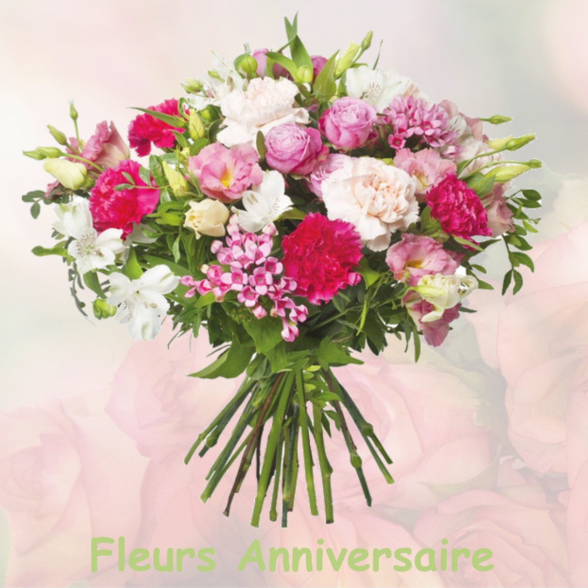fleurs anniversaire TREMBLAY-LES-VILLAGES