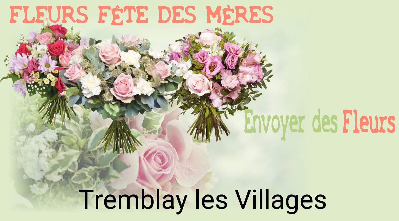 Bouquet de Fête des Mères livré à Tremblay-les-Villages